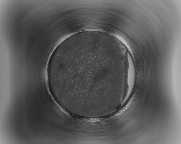 X0000095911141200801251005