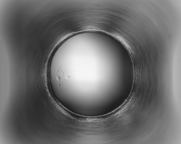 X0000095911142200801251005