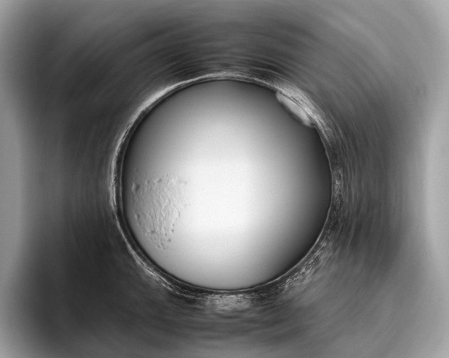 X0000095911143200801251005