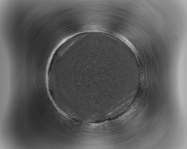 X0000095911144200801251005