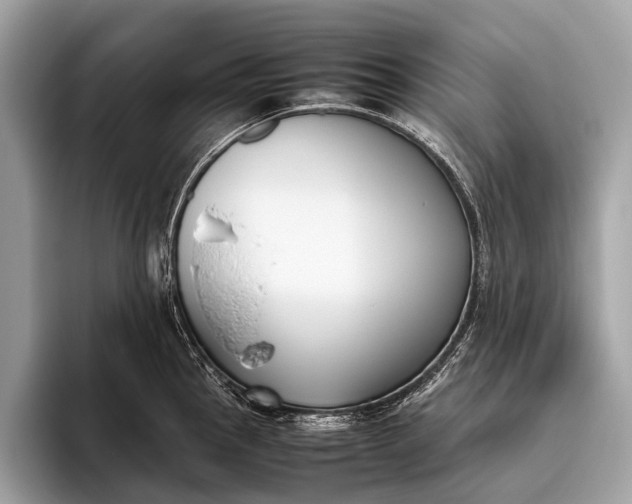 X0000095911145200801251005