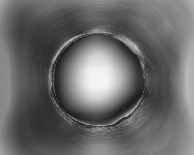 X0000095911148200801251005