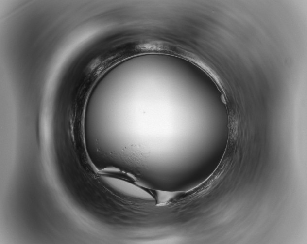 X0000095911151200801251005