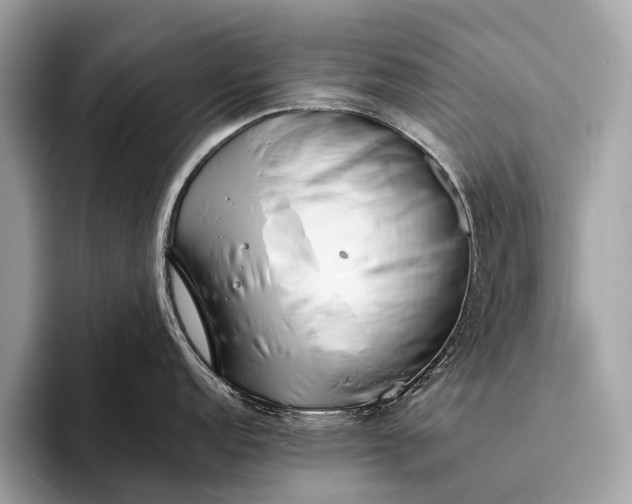 X0000095911152200801251005