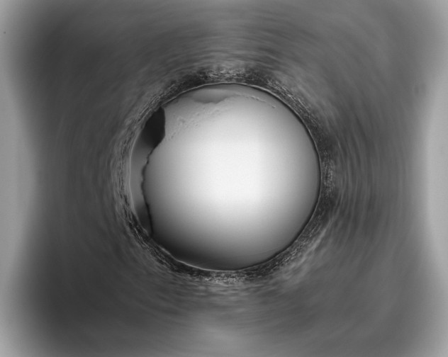 X0000095911153200801251004