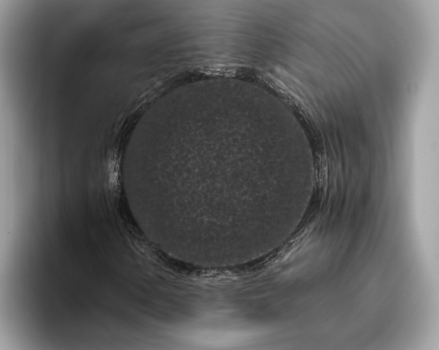 X0000095911154200801251004