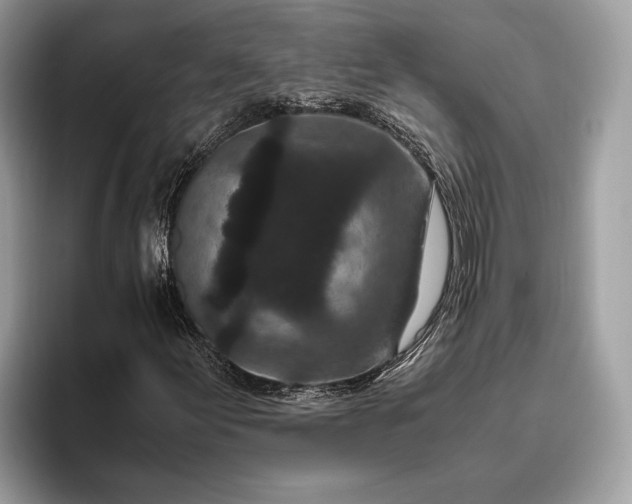 X0000095911155200801251004