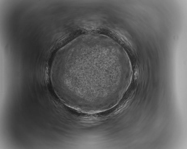 X0000095911156200801251004