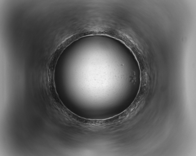 X0000095911158200801251004