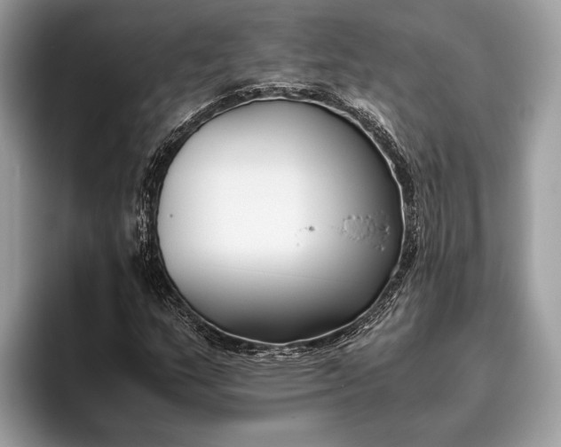 X0000095911159200801251004