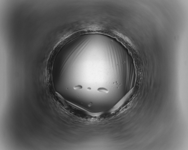 X0000095911160200801251004