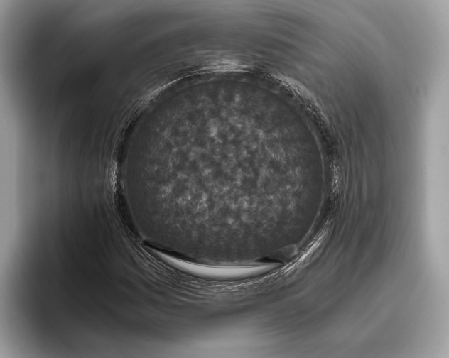 X0000095911161200801251004