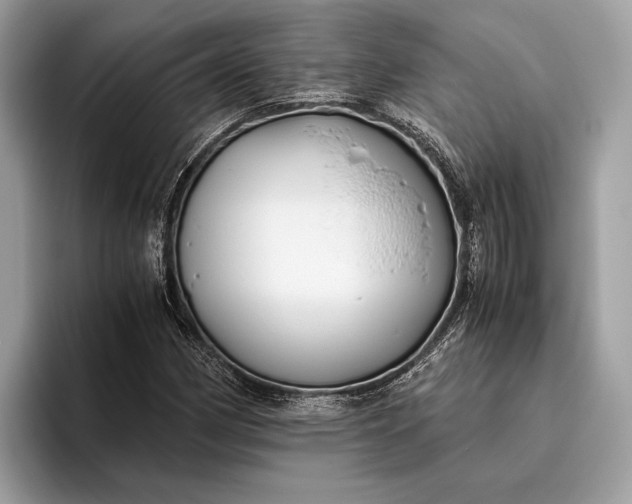 X0000095911162200801251004