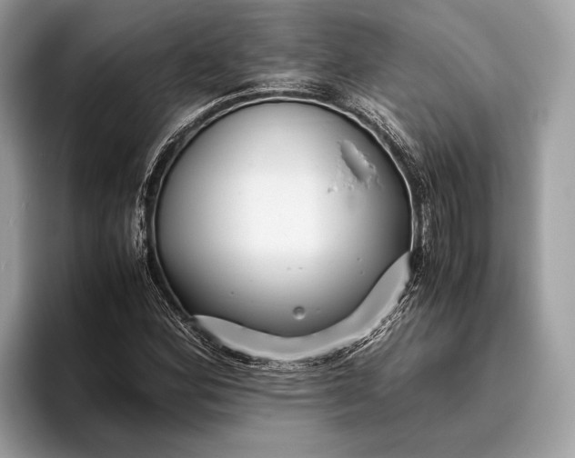 X0000095911164200801251004