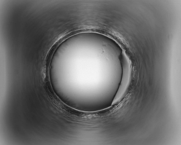 X0000095911165200801251004