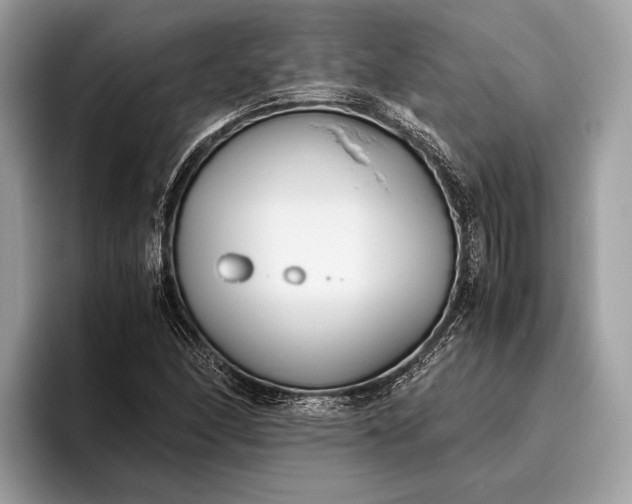 X0000095911166200801251004