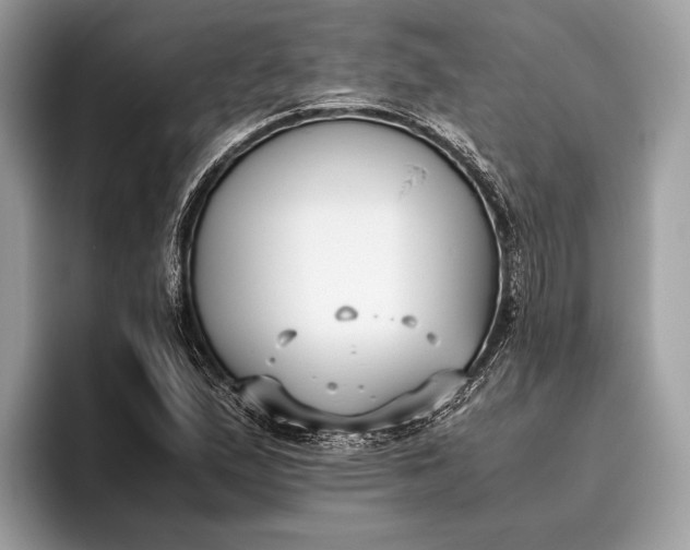 X0000095911167200801251004