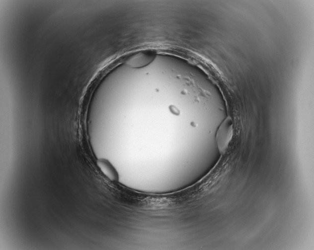 X0000095911168200801251004