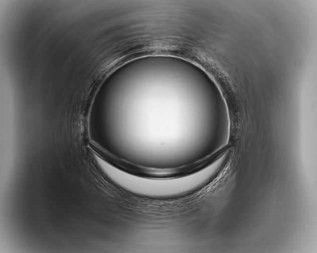 X0000095911169200801251004