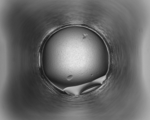 X0000095911171200801251004