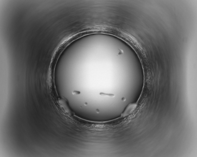 X0000095911172200801251004