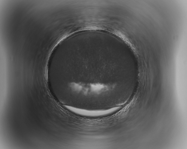 X0000095911173200801251004