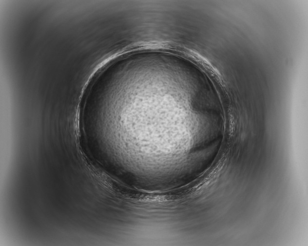 X0000095911174200801251004