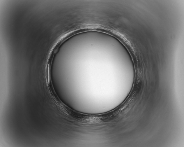 X0000095911175200801251004