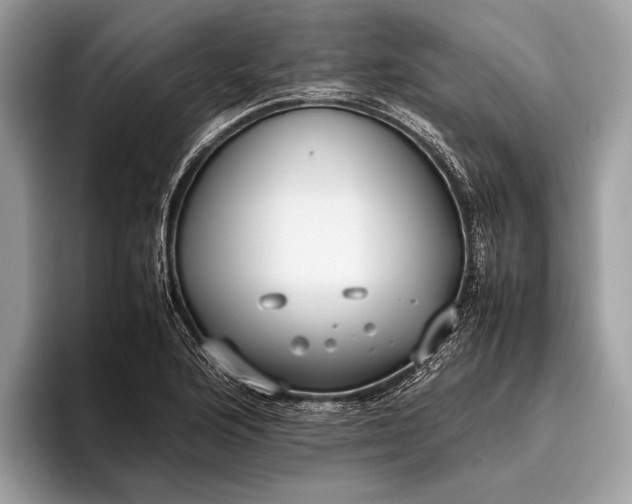 X0000095911176200801251004