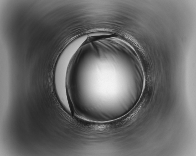 X0000095911177200801251004