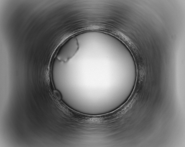 X0000095911178200801251004