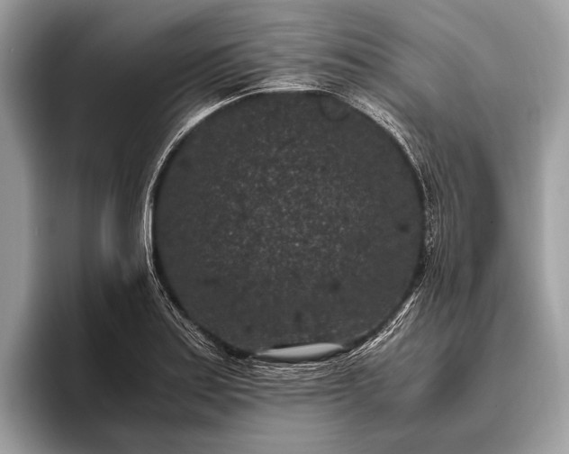 X0000095911179200801251004