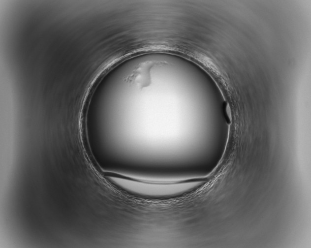 X0000095911181200801251004