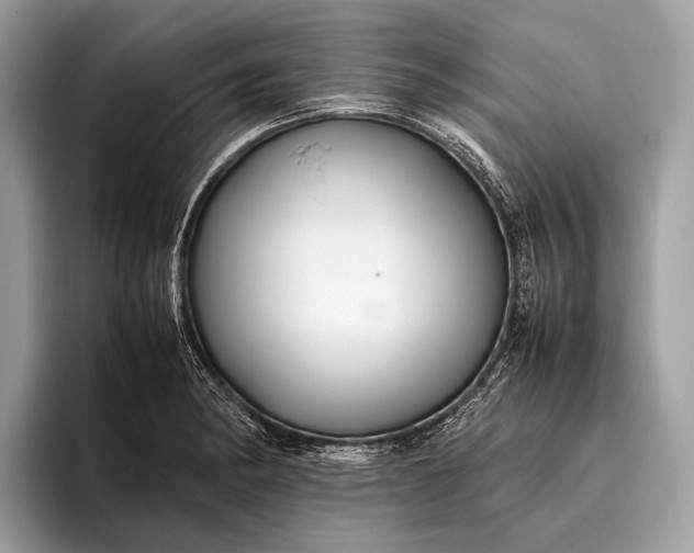 X0000095911182200801251004