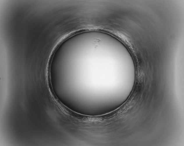 X0000095911183200801251004