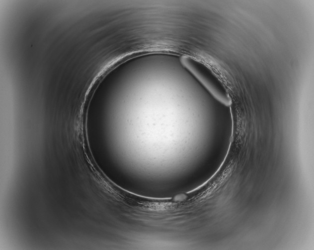 X0000095911184200801251004