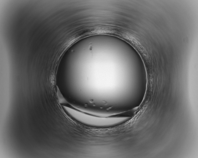 X0000095911185200801251004