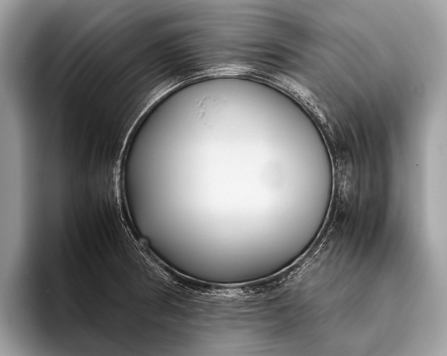 X0000095911186200801251004