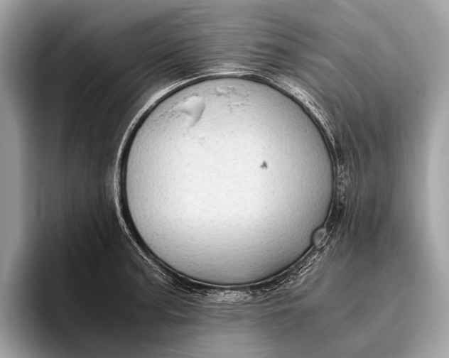 X0000095911187200801251004