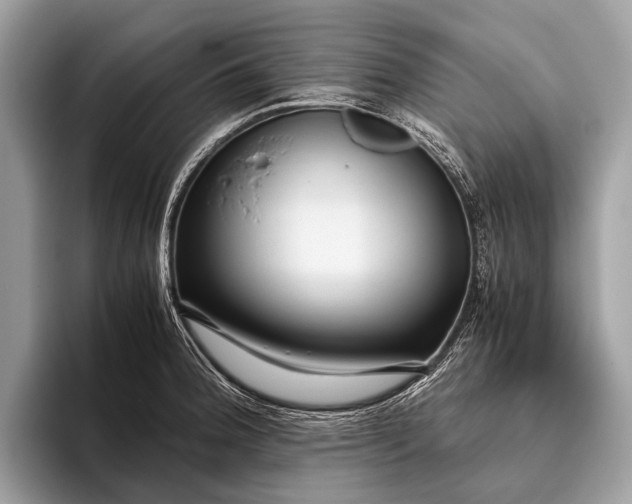 X0000095911188200801251004