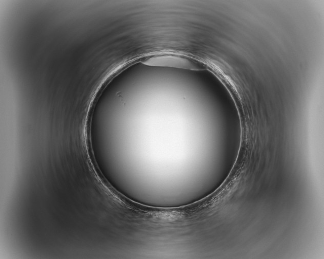 X0000095911189200801251004