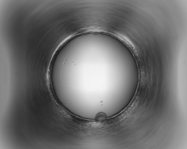 X0000095911190200801251004