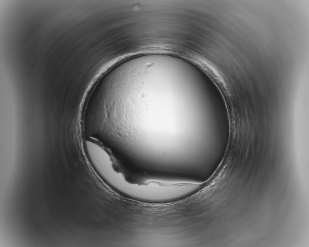 X0000095911192200801251004