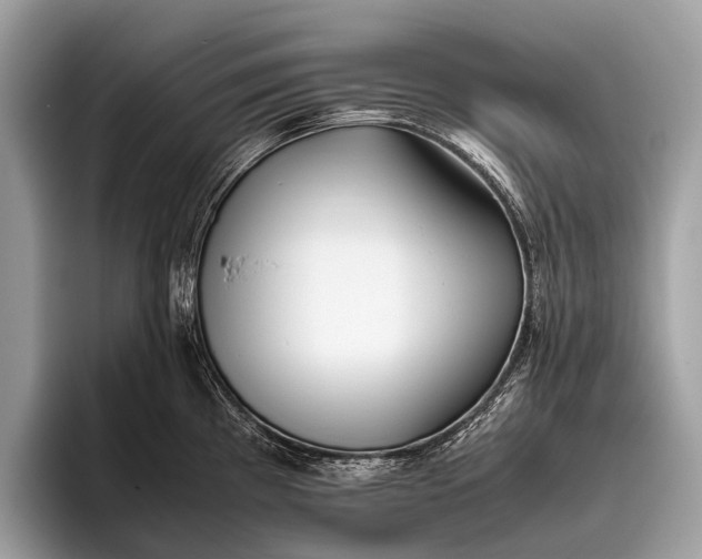 X0000095911193200801251004