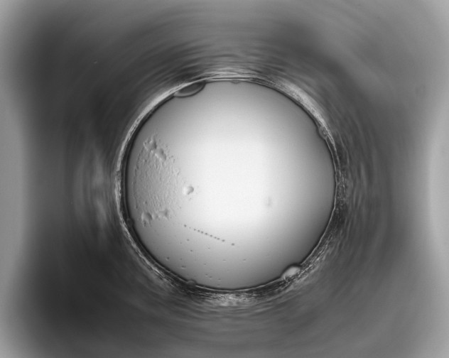 X0000095911195200801251003