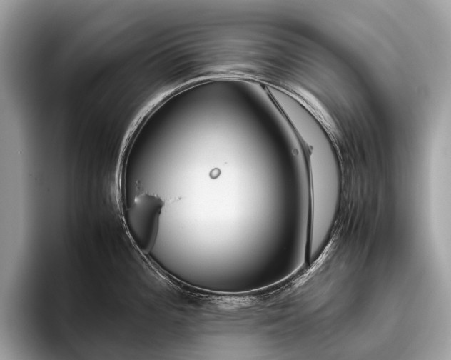 X0000095911196200801251003