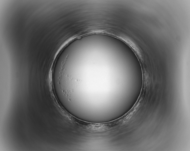 X0000095911198200801251003