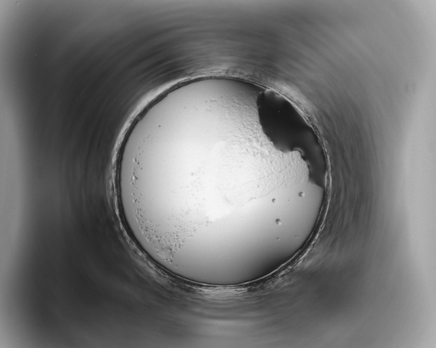 X0000095911200200801251003