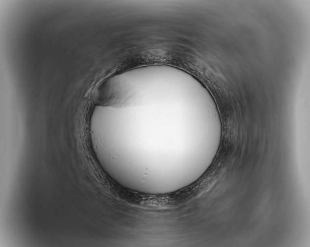 X0000095911201200801251003