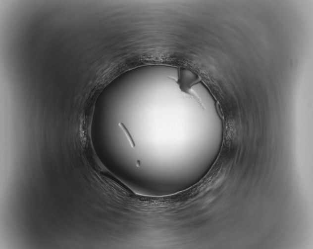 X0000095911202200801251003